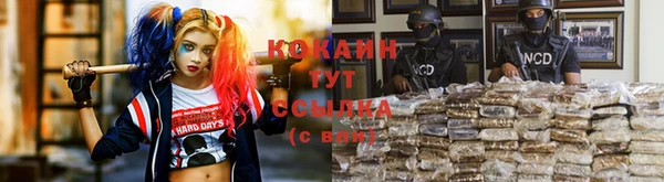 индика Костерёво