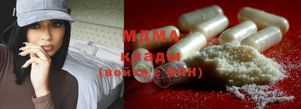 индика Костерёво