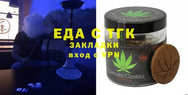 индика Костерёво
