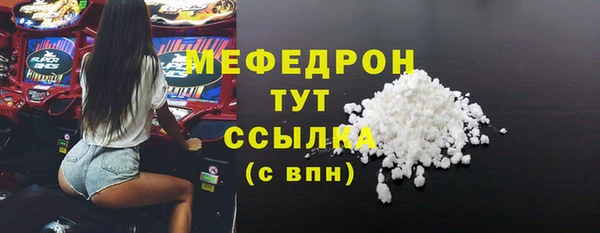 индика Костерёво