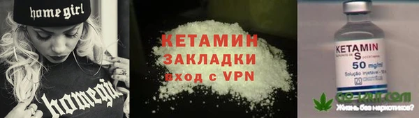 индика Костерёво