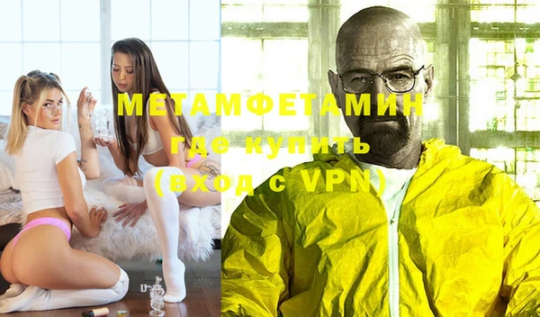 индика Костерёво