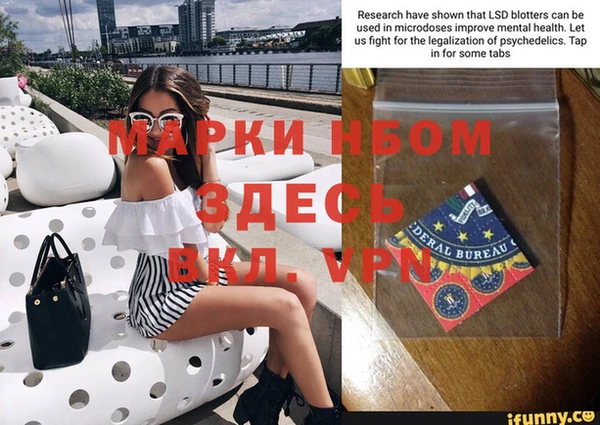 индика Костерёво