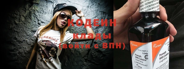 индика Костерёво