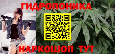 a pvp Абакан