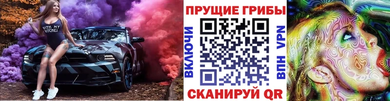 МЕГА как зайти  Тверь  Галлюциногенные грибы мицелий  сколько стоит 