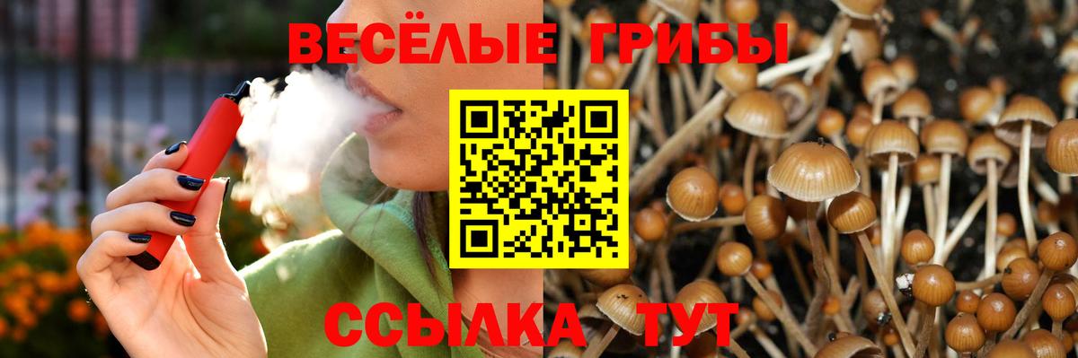 Тверь  что такое наркотик  Псилоцибиновые грибы мицелий  Вход с VPN  Галлюциногенные грибы ЛСД 