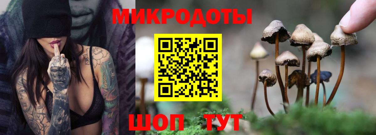 Тверь  Галлюциногенные грибы ЛСД  Вход с VPN  Галлюциногенные грибы Cubensis 