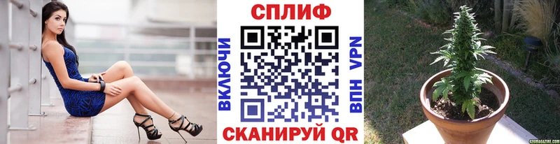 Бошки Шишки гибрид  цена наркотик  Тверь 